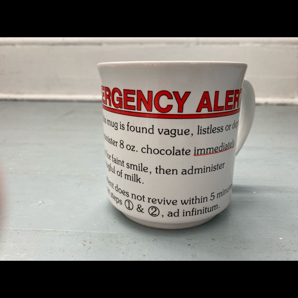 Vintage Sandra Boynton emergency alert funny mug